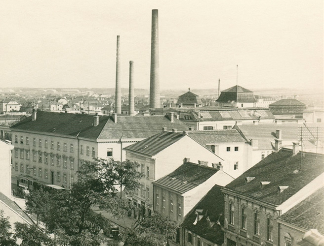 X50 MIK.
